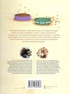 Принцеса Пухколапка та Деріл. Image №2