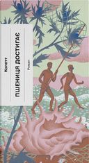 Пшениця достигає