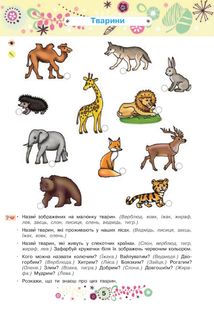 Розвиток мовлення : 5+. Зображення №6