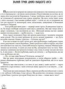 У пошуках грибного царства. Зображення №5