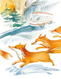 Зелений скрипаль. Зображення №5