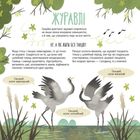 Тато, мама, я - твариняча сім'я. Зображення №5