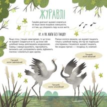 Тато, мама, я - твариняча сім'я. Зображення №5