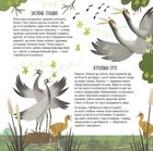 Тато, мама, я - твариняча сім'я. Зображення №6