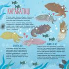 Тато, мама, я - твариняча сім'я. Зображення №7