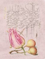 Скетчбук для малювання «Тюльпан і груші»