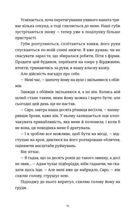 Ідеальний шлюб. Зображення №4