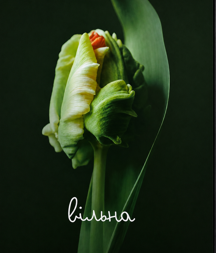 Гра-практика Вільна