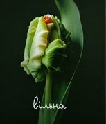 Гра-практика Вільна