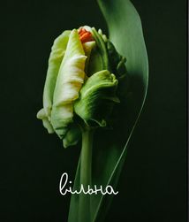 Гра-практика Вільна. Image №1