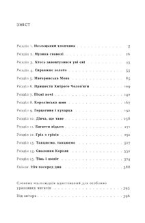Дискосвіт. Тіфані. Зодягну на себе ніч. Частина 4. Зображення №2