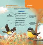 Віршенята-гралочки. Забавлянки, утішки, руханки, лічилки для малят. Зображення №7