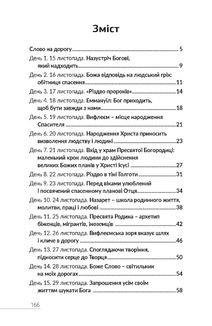 Назустріч Різдву Христовому. Зображення №1