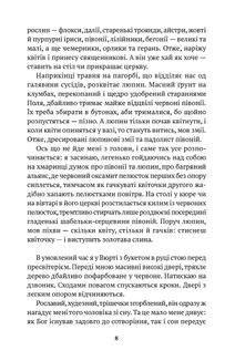 Ведмідь. Зображення №6