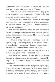 Таємна сімка. Пригоди Таємної сімки. Книга 2. Image №11