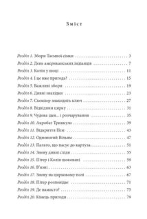 Таємна сімка. Пригоди Таємної сімки. Книга 2. Image №12