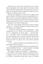 Таємна сімка. Таємна сімко, вперед! Книга 5. Image №12