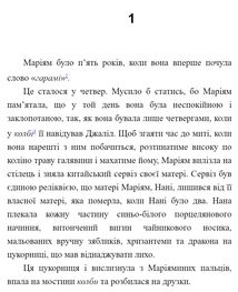 Тисяча осяйних сонць. Зображення №2