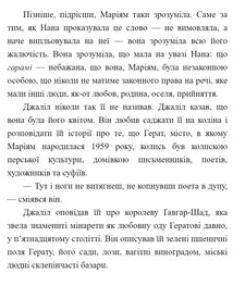 Тисяча осяйних сонць. Зображення №4