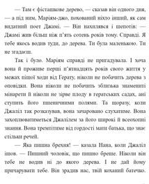 Тисяча осяйних сонць. Зображення №5