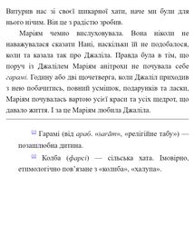 Тисяча осяйних сонць. Зображення №6