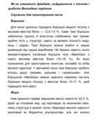 Великодня випічка. Зображення №18