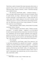 Веселкова Долина. Книга 7. Image №9