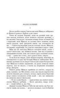 Володимир. Зображення №7