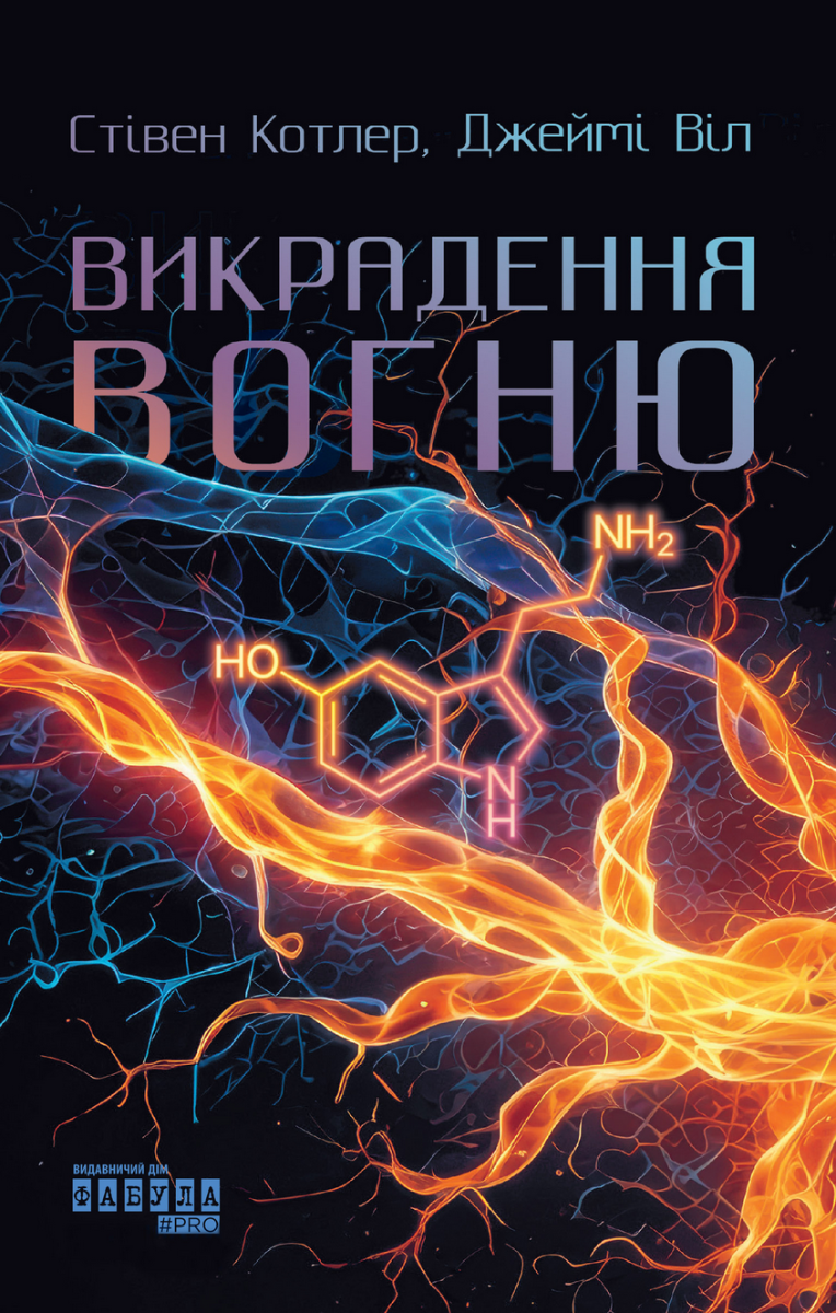 Обкладинка Викрадення вогню