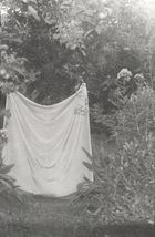 Я їду додому їсти шовковицю з дерева. Image №7