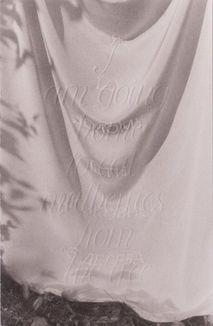 Я їду додому їсти шовковицю з дерева. Image №1