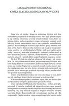 O krasnoludkach i sierotce Marysi. Image №6