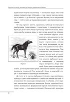 Перлини в степу. Розмови про минуле українського Півдня. Зображення №7