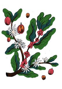 Нові кавові правила. Image №10