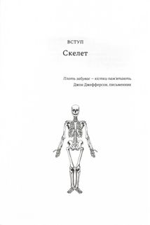 Закарбовано на кістках. Таємниці, які ми залишаємо після себе. Image №5