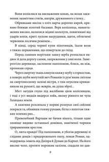 Шоломи в сонці. Image №9