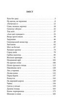 Шоломи в сонці. Image №14