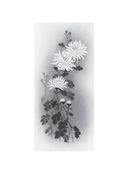 Дзенські притчі. Зображення №5