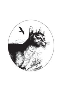 Єгипетські притчі. Image №5