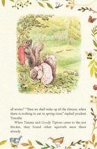 The Tale of Squirrel Nutkin. The Tale of Jemima Puddle-Duck. Image №5
