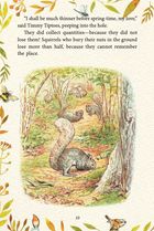 The Tale of Squirrel Nutkin. The Tale of Jemima Puddle-Duck. Image №9