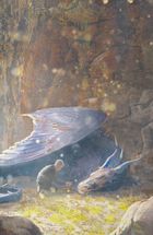 Ераґон. Найстарший. Книга 2. Image №4