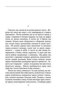 Огненне коло. Зображення №4