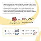 Це — вульва!. Зображення №5