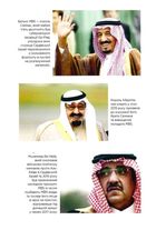 MBS. Таємниці наслідного принца Мухаммеда бін Салмана. Зображення №13