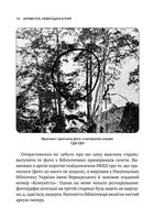 Архіви КГБ. Невигадані Історії. Image №10