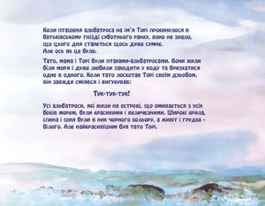 Кошик скарбів Торі — Мірі Маттатія, фото 7