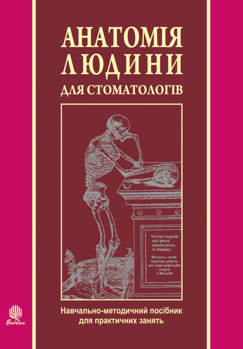 Анатомія людини для стоматологів