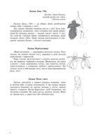Народна лялька з одного шматка тканини. Інструктивні картки. 5-6 класи. Image №4