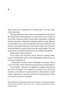 Чотири скарби неба. Image №5